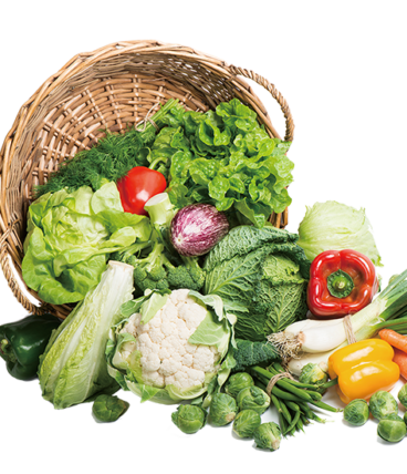 vegitable-img.png